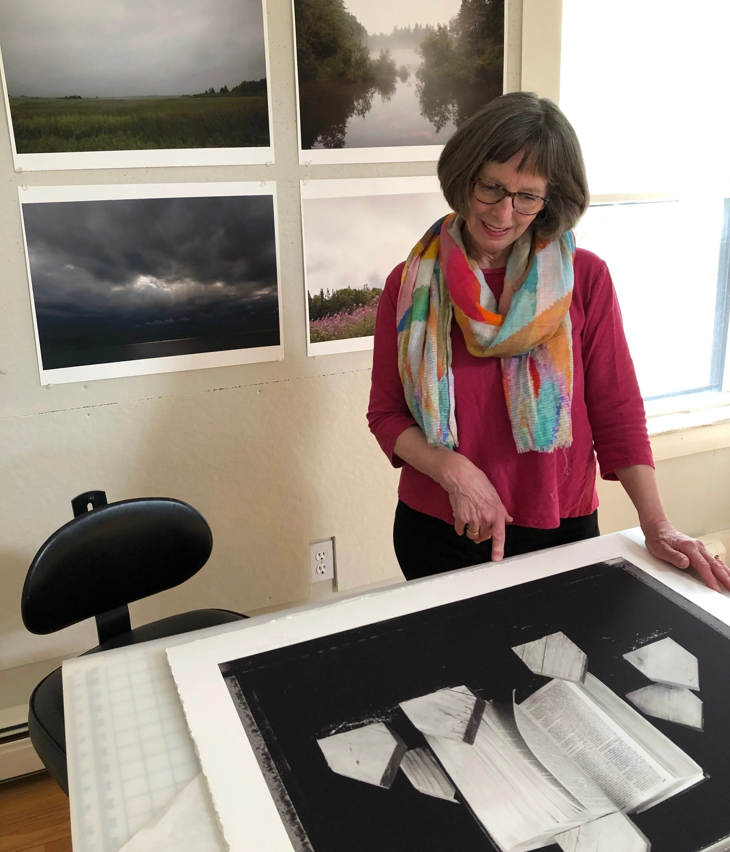 Vaughn Sills 「Beyond Words」アートフォト写真